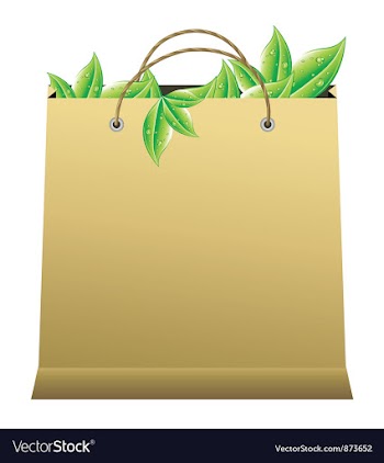 Shopping bag vector image