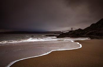 Shore Close-up Photography