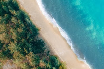 Shore Line