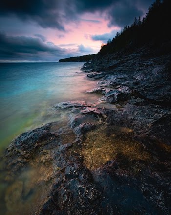 shore surrounded with trees