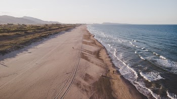 Shoreline