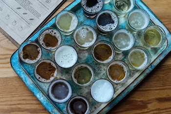 Shot glasses Placed on Tabletop