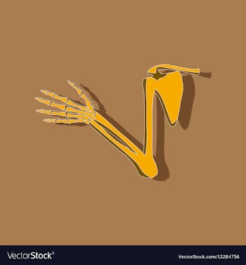 Shoulder joint paper sticker on stylish background vector image