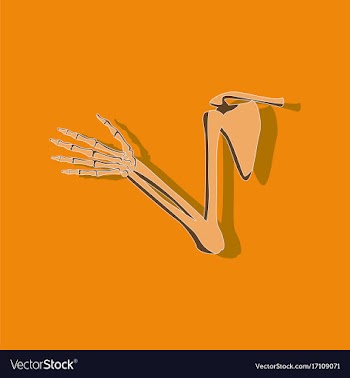 Shoulder joint paper sticker on stylish background vector image