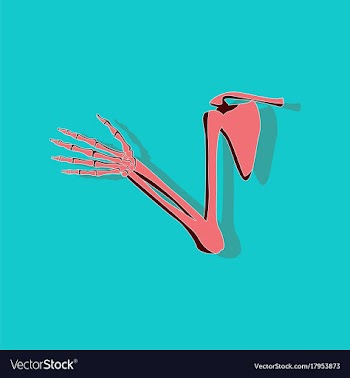 Shoulder joint paper sticker on stylish background vector image
