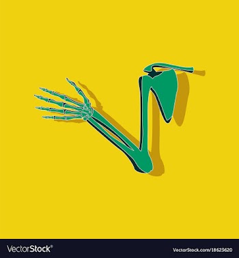 Shoulder joint paper sticker on stylish background vector image