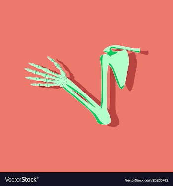 Shoulder joint paper sticker on stylish background vector image