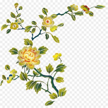 Shoumei Tea, White Tea, Fuding Baicha, Flower, Plant PNG