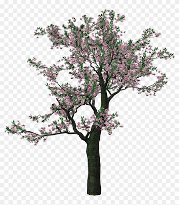 Showing Post &amp; Media For Spring Tree Clip Art Cartoons - Spring Trees Png