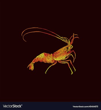 shrimp animal sea artwork creative design