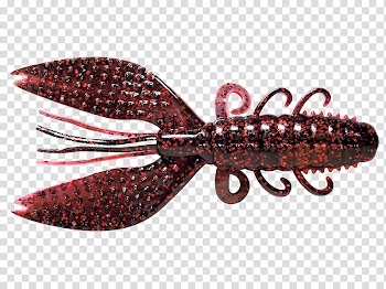 Shrimp Chela Fishing Chartreuse Purple, Shrimp transparent background PNG clipart