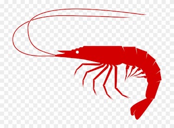Shrimp Clipart Free Free Shrimp Cliparts Download Free - Sea Food Clip Art