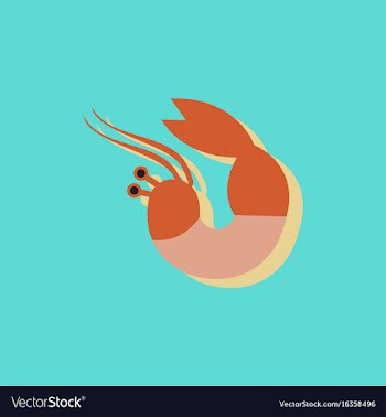 Shrimp in sticker style vector image