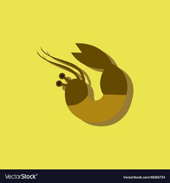 Shrimp in sticker style vector image