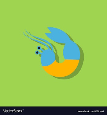 Shrimp in sticker style vector image