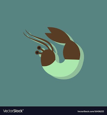 Shrimp in sticker style vector image