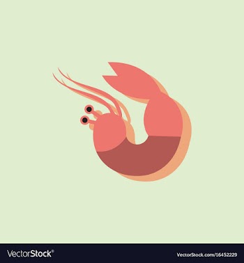 Shrimp in sticker style vector image
