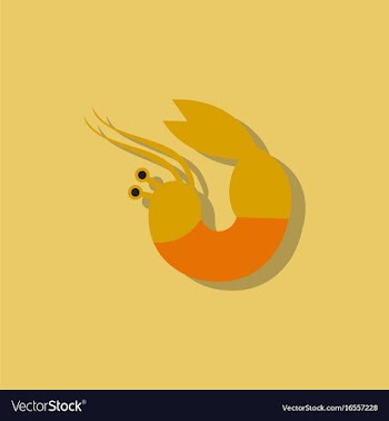 Shrimp in sticker style vector image