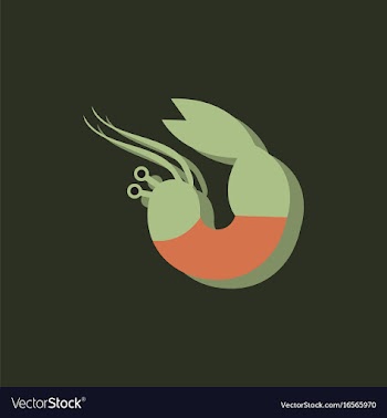 Shrimp in sticker style vector image