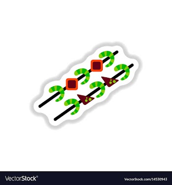 Shrimp on wood stick grilled shrimp skewers vector image