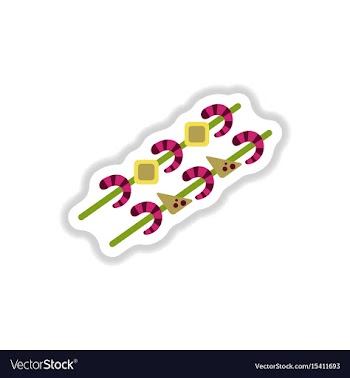 Shrimp on wood stick grilled shrimp skewers vector image