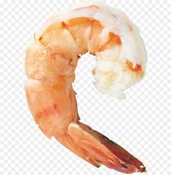 Shrimp Prawn cocktail Seafood Cooking - Shrimps PNG 