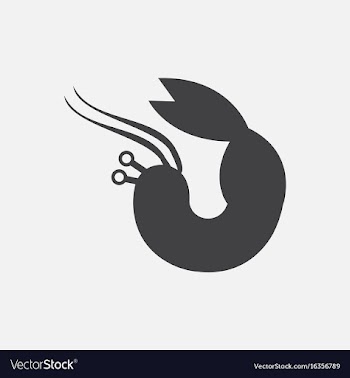 Shrimp vector image