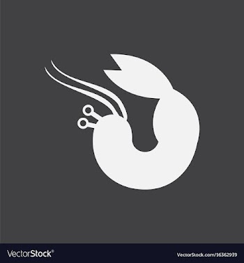 Shrimp vector image