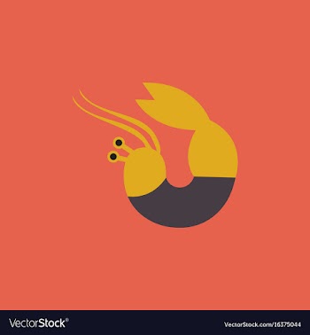 Shrimp vector image