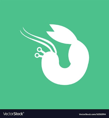 Shrimp vector image