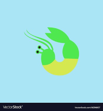 Shrimp vector image