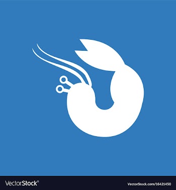 Shrimp vector image
