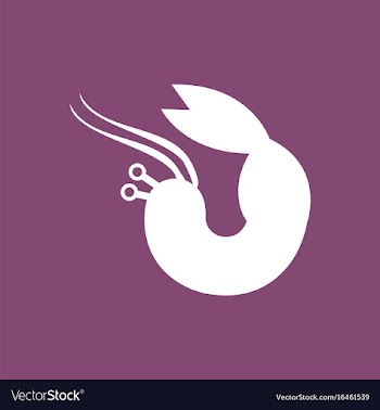 Shrimp vector image