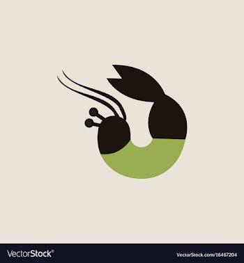Shrimp vector image
