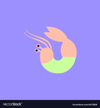 Shrimp vector image