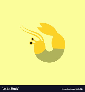 Shrimp vector image