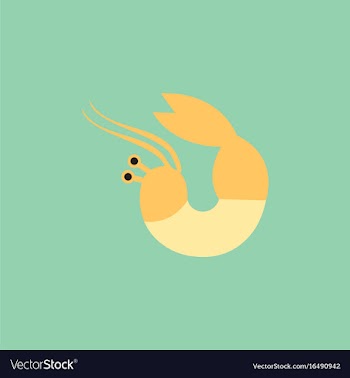 Shrimp vector image