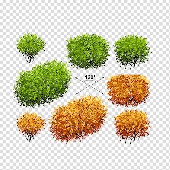 Shrub Euclidean Tree Plant, Bush design transparent background PNG clipart