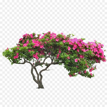 Shrub Garden Euclidean vector - A bush shrub in a physical garden 