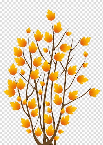 Shrub Tree , Tree Bush transparent background PNG clipart