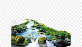 Shulin District Download Forest - forest 