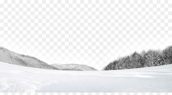 Shulin District White Snow Winter - White snow 