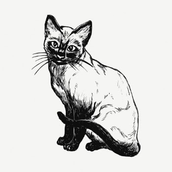 Siamese cat collage element, vintage | Free PSD - rawpixel