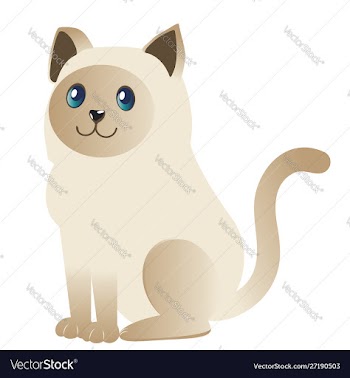 Siamese cat design vector image