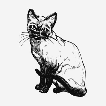 Siamese cat hand drawn illustration. | Free Photo - rawpixel