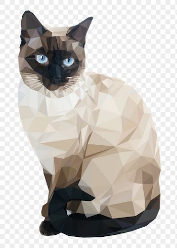 Siamese cat png sticker illustration, | Free PNG - rawpixel