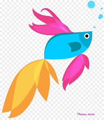 Siamese fighting fish Windows 8.1 - betta 
