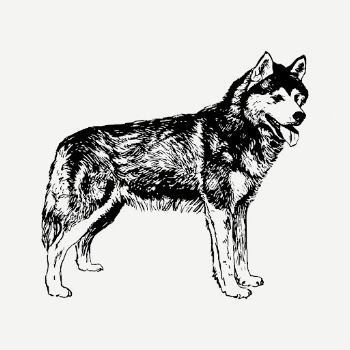 Siberian husky dog drawing, vintage | Free PSD - rawpixel