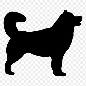 Siberian Husky dog png sticker | Free PNG - rawpixel