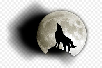 Siberian Husky Full moon Black wolf Wolfdog - moon 